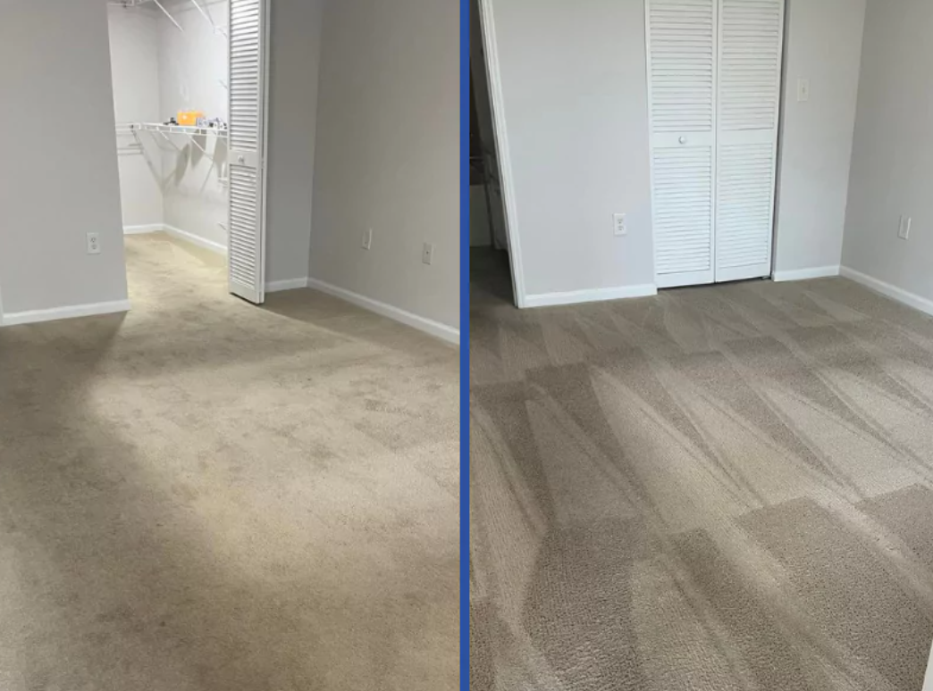 Servizio pulizia Perla Nera